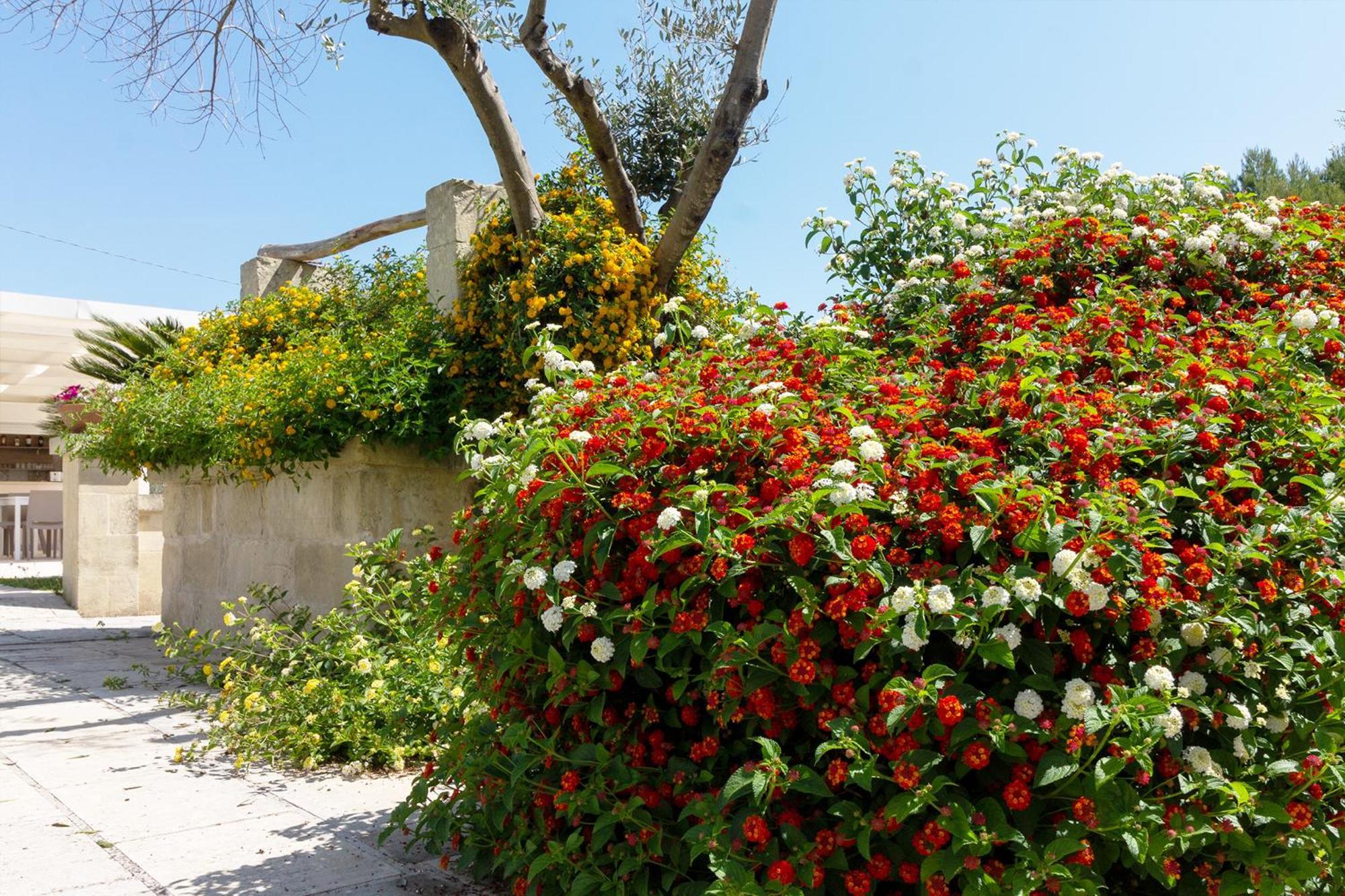 La Casina Di Borgagne Villa Exterior photo